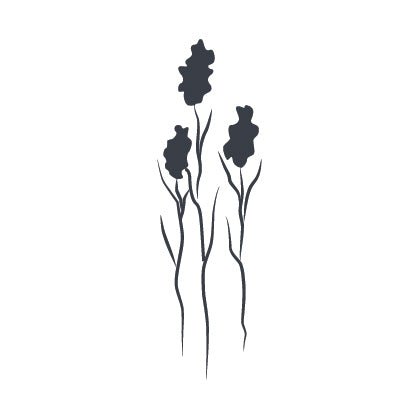 GRATITUDE | THE SORGHUM - Katush Store