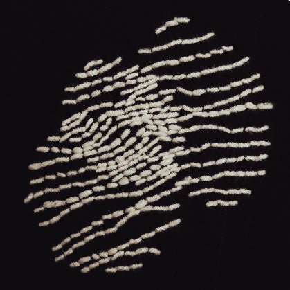 KINSHIP | THE CIRCLES - Katush Store