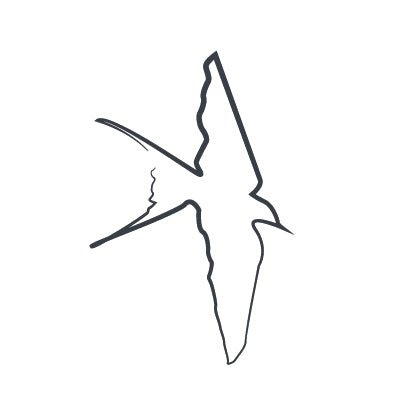 MOVEMENT | THE SWALLOW - Katush Store